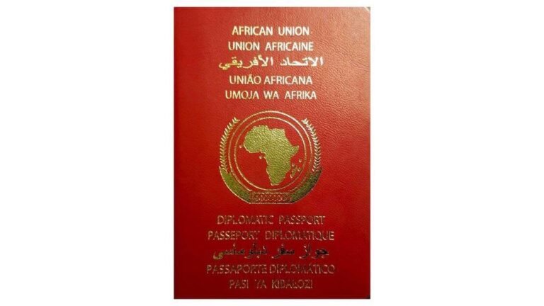 Ten Years On, Africa’s Single Passport Remains Out of Reach for Ordinary Citizens