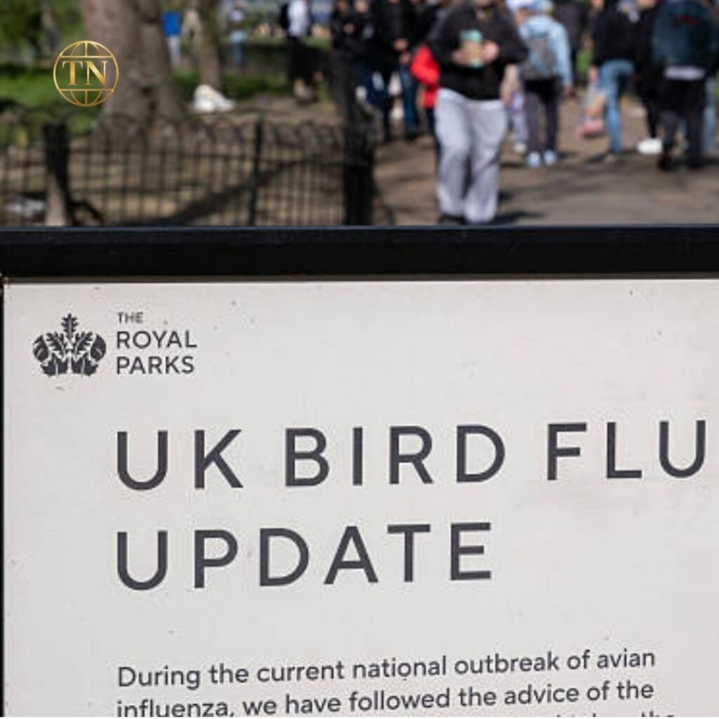 Flu activity rises early in England but remains very low